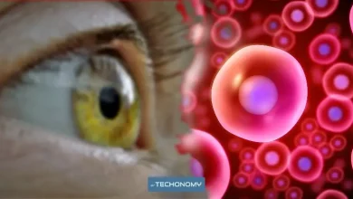 دراسة: زراعة الخلايا الجذعية تقنية واعدة لعلاج الإصابات البالغة في العين