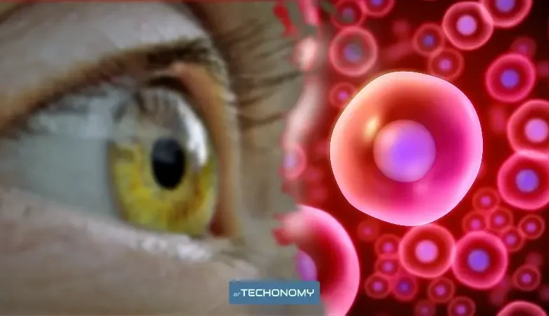 دراسة: زراعة الخلايا الجذعية تقنية واعدة لعلاج الإصابات البالغة في العين